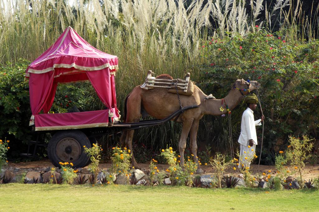 Pushkar Resort Eksteriør billede