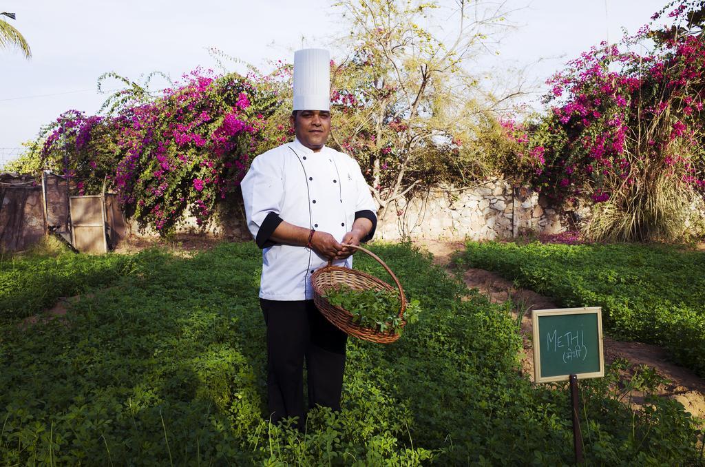 Pushkar Resort Eksteriør billede
