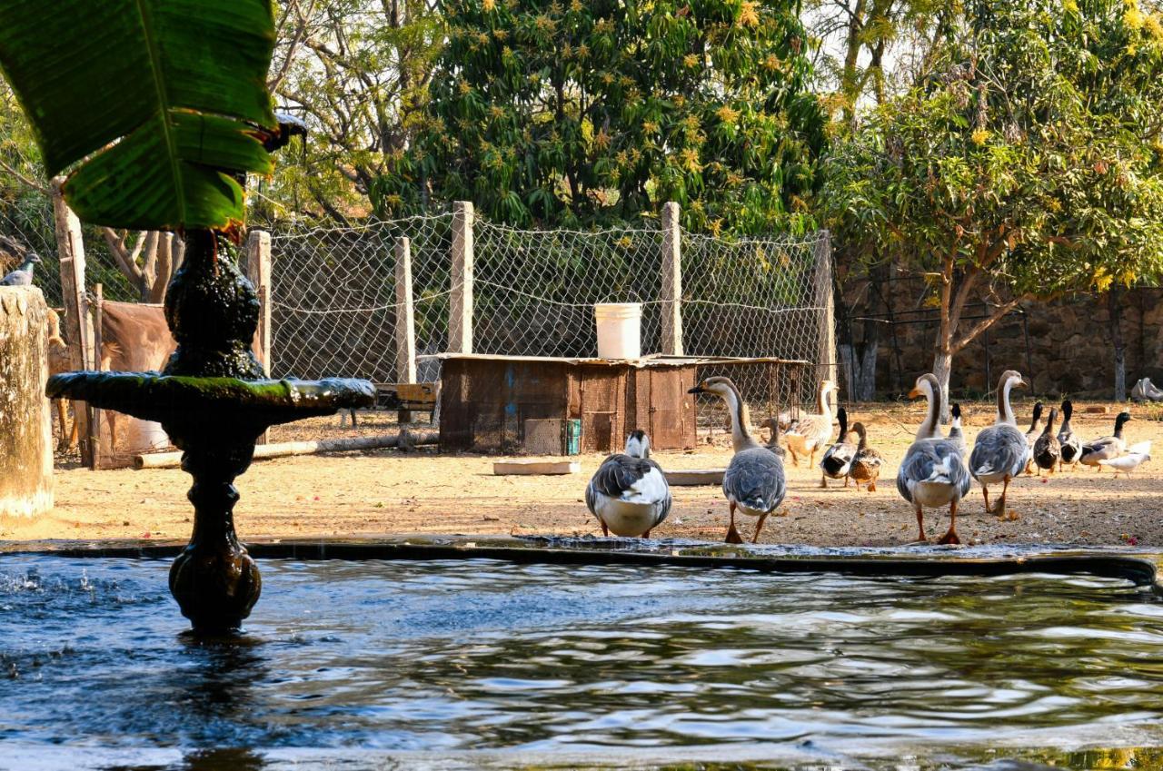 Pushkar Resort Eksteriør billede